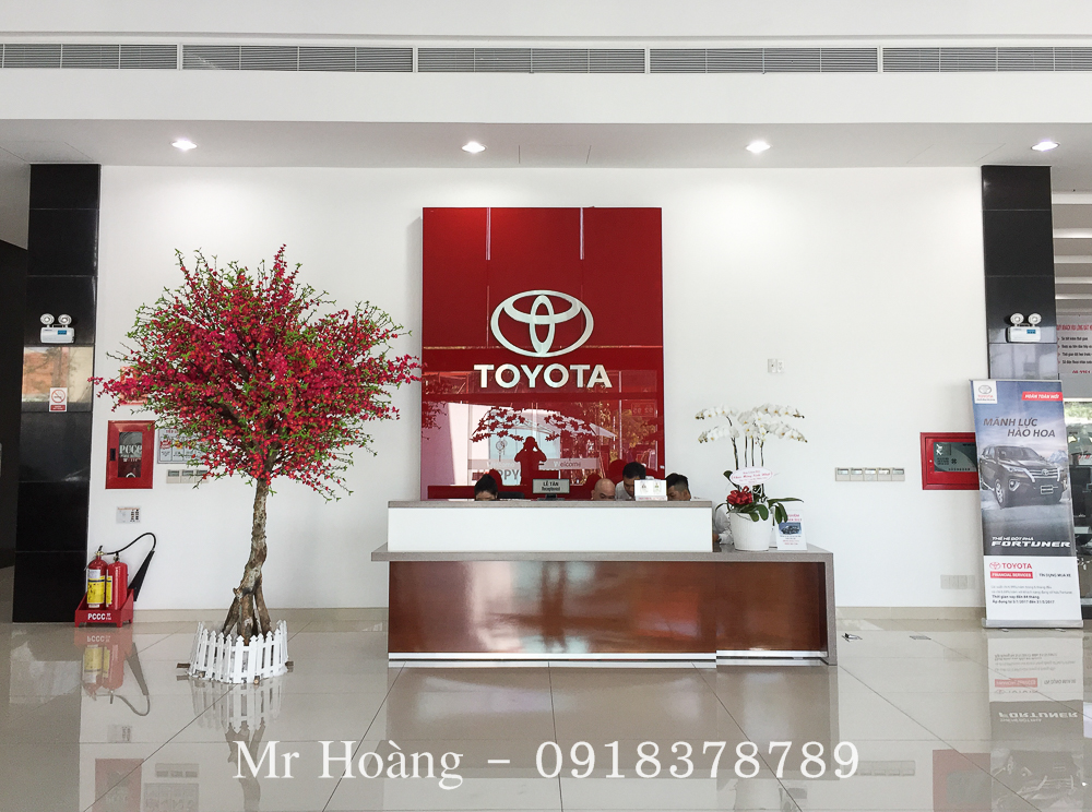 Toyota hung Vuong chi nhan Tan Tao - showroom